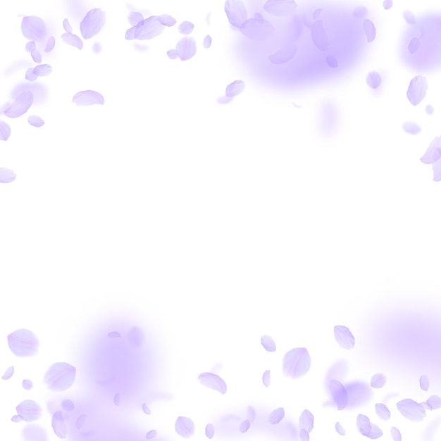 Violet flower petals falling down. mesmeric romantic flowers falling rain.