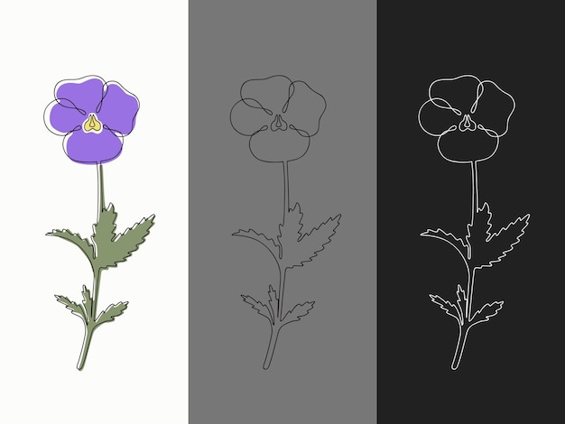 violet in one line with spots with a black and white outline