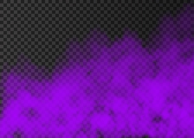 Violet smoke  isolated on transparent background.  steam special effect.  realistic  colorful vector fire fog  or mist texture.