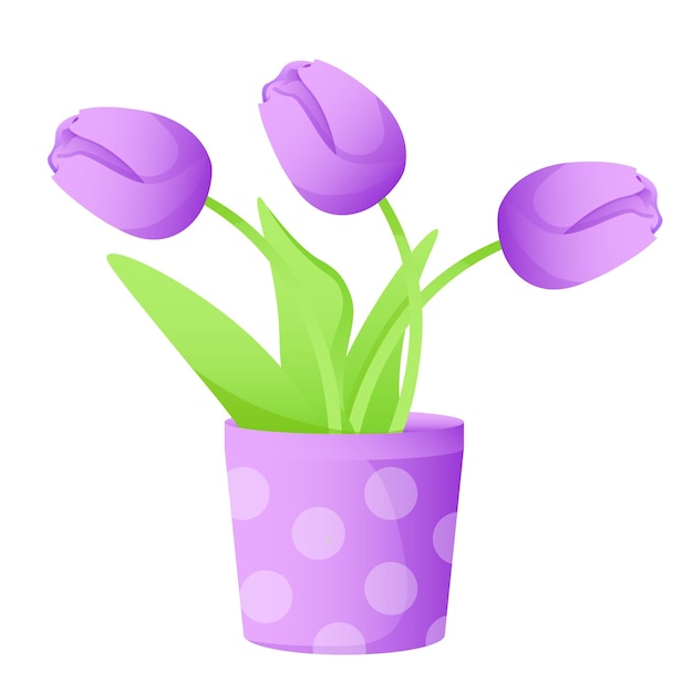 Violet tulips bouquet