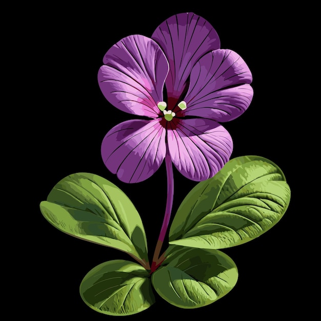 바이올렛 Woodsorrel 꽃 벡터