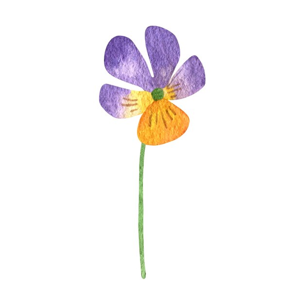 Viooltje bloem bos aquarel clipart