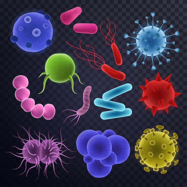 Virus vector bacteriële infectie virusachtige ziekte illustratie virulent set microbiologie organismen microbe of bacteriën geïsoleerd