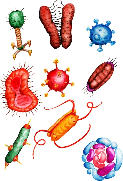 Vettore illustrazioni a colori di virus e batteri