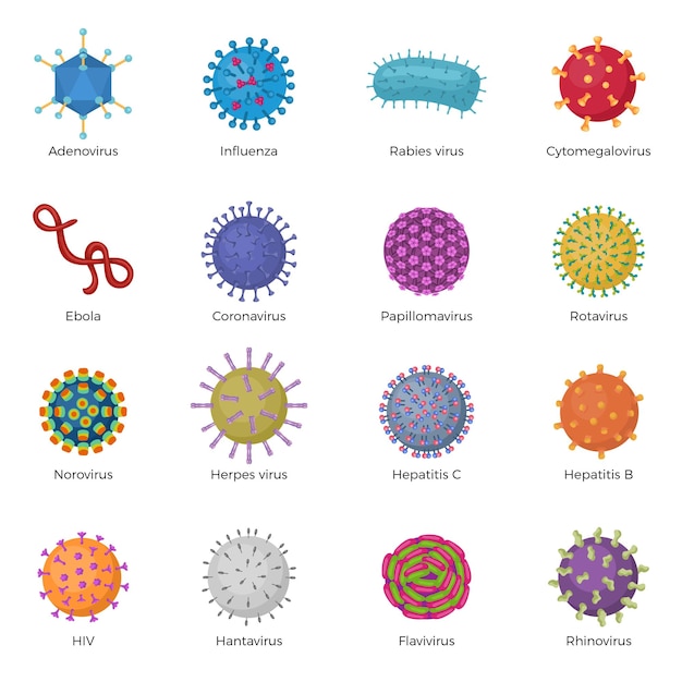 Viruses illustrations microb bacillus ebola microorganism pictogram pharmaceutical laboratory symbols recent vector microorganism signs templates