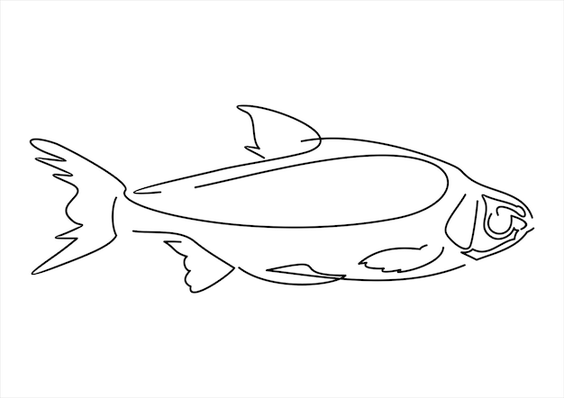 vis logo ontwerp vector achtergrond