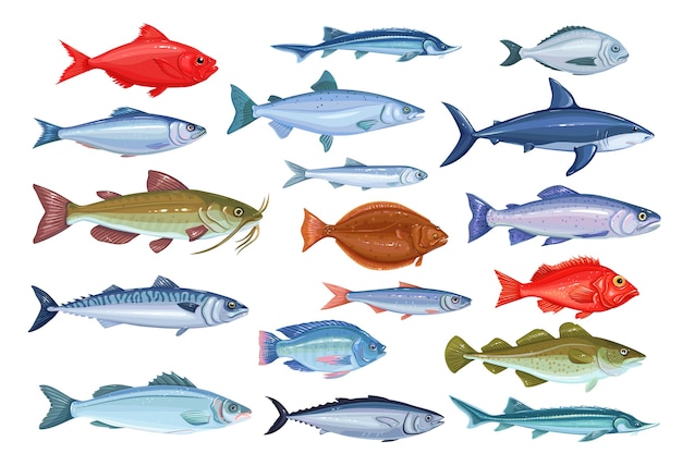 Vis pictogrammen. Zeevruchten van brasem, makreel, tonijn of sterlet, meerval, kabeljauw en heilbot.