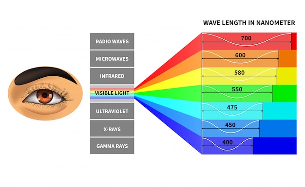 Modello di spettro di luce visibile