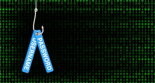 vissen haak phishing hack gebruikersnaam en wachtwoord