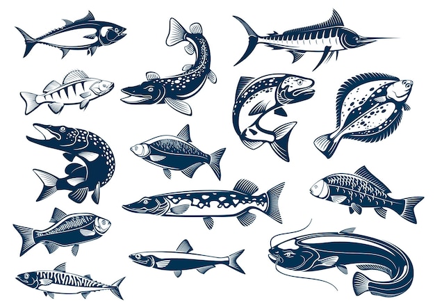 Vissen soorten vector geïsoleerde pictogrammen