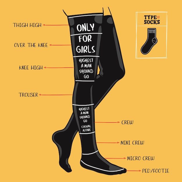 Una guida visiva ai diversi tipi di calzini, illustrazione vettoriale disegnata a mano