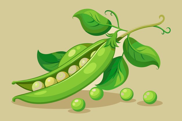 ベクトル visualize the crisp snap of a fresh snap pea with bright green pods bursting with sweet juicy peas