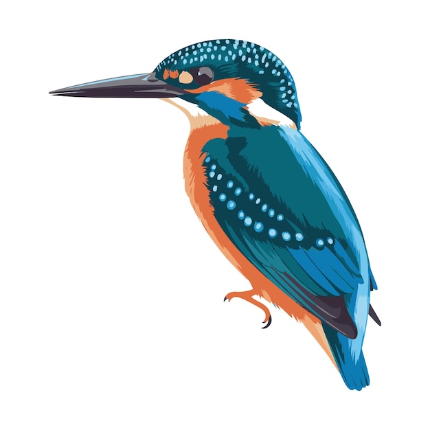 visvogel