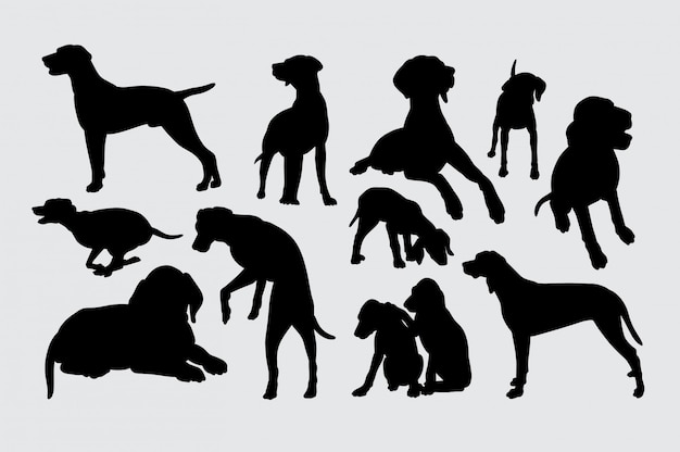 Vector viszla dog animal silhouette