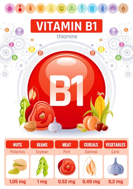 Vitamin b1 food infographic poster. healthy diet  supplement design