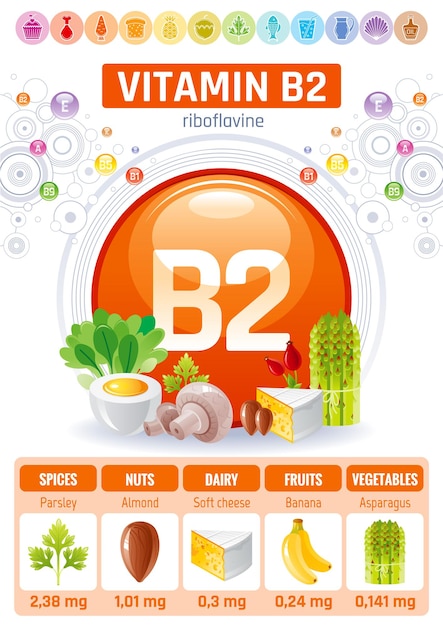 비타민 B2 식품 인포 그래픽 포스터. 건강한 다이어트 보조제 디자인