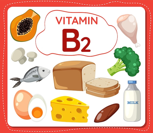 Banner con cornice di vitamina b2 con cibo e frutta