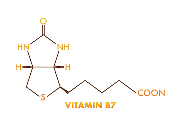 Vitamin b7 formula Vitamin B7 biotin molecule Skeletal formula