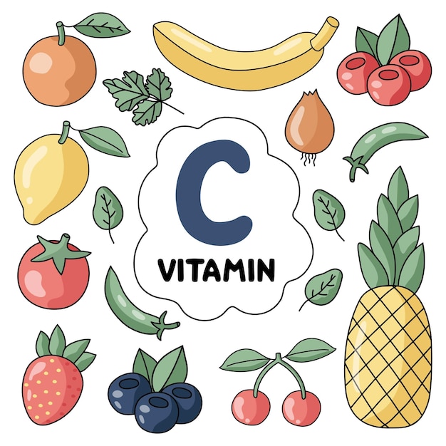 Vitamin C products. Food sources. Flat vector illustration. Fruits and vegetables. Healthy Eating. D