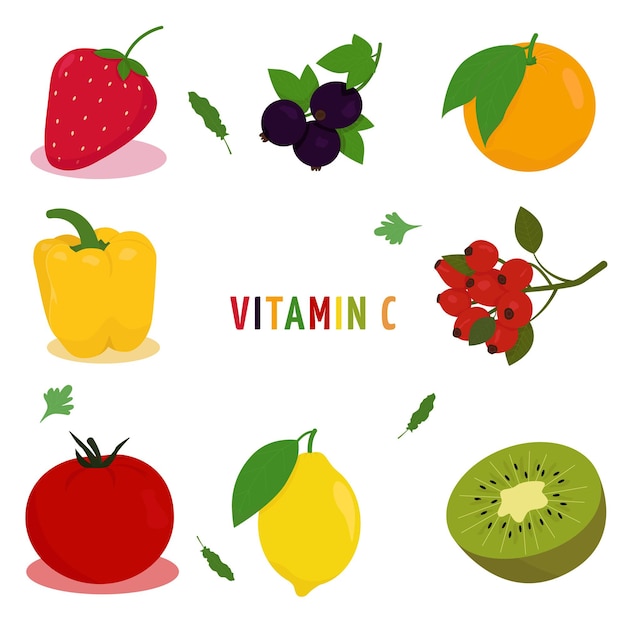 Vitamina c. illustrazione vettoriale con un'immagine di frutta e verdura contenente vitamina c