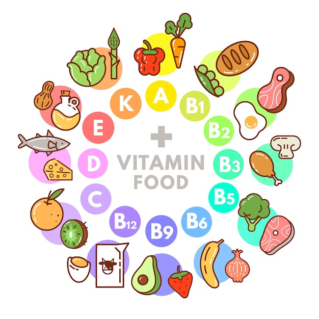 Vector vitamin food infographic