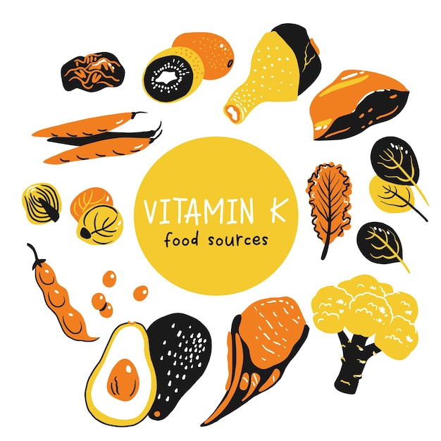 Vitamin k vector stock illustration Food products with a high content of the vitamin k1 and k2 prunes liver pork chops broccoli green beans and peas kale spinach and brussels sprout