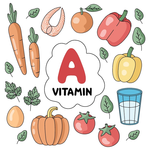 Vitamin A products. Food sources. Flat vector illustration. Fruits and vegetables. Healthy Eating. D