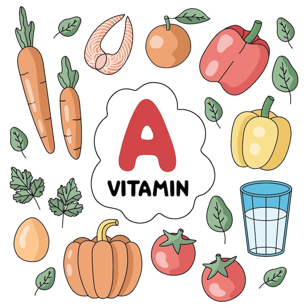 Vitamine A-producten. Voedselbronnen. Platte vectorillustratie. Fruit en groenten. Gezond eten. D