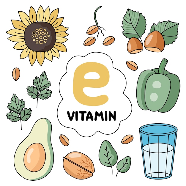 Vitamine e-producten. voedselbronnen. platte vectorillustratie. fruit en groenten. gezond eten. d