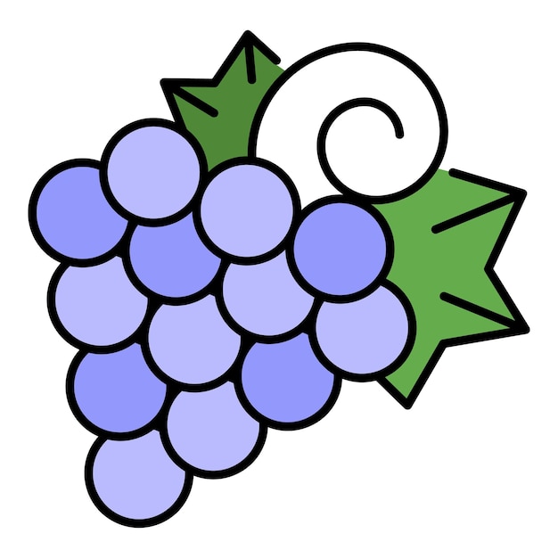 Vitis druif pictogram Overzicht Vitis druif vector pictogram kleur plat geïsoleerd op wit