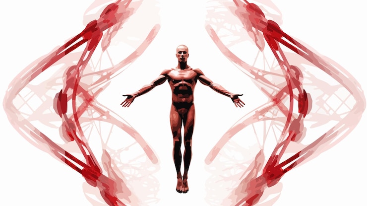 Vector vitruvian man dna medical research concept