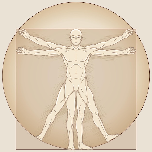 Vitruvian man Vector design