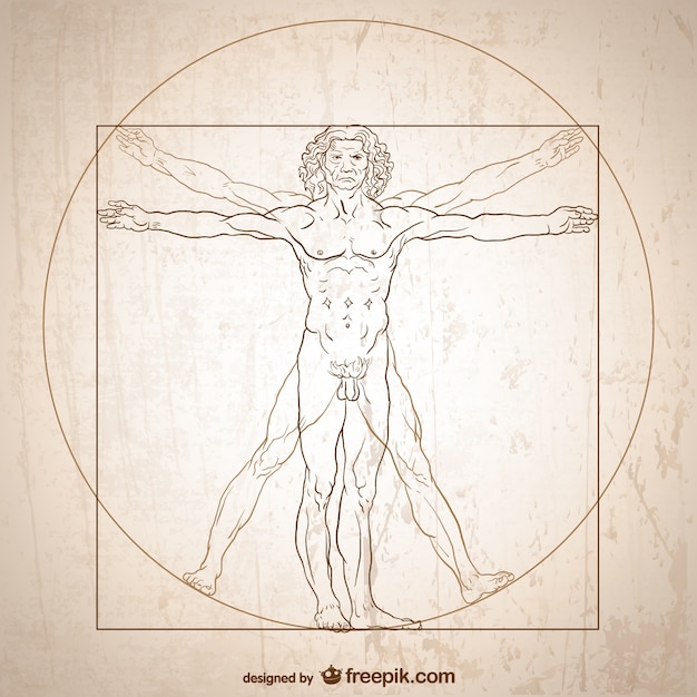 Vector vitruvian man vector.