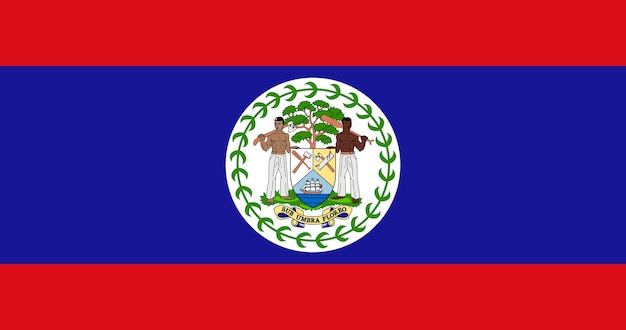 Vlag van Belize in vector