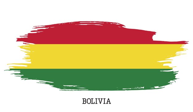 Vlag van Bolivia vector grunge penseelstreek