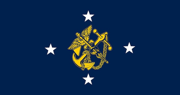 Vlag van de adjunct-secretaris van Volksgezondheid (admiraal) Verenigde Staten vector afbeelding