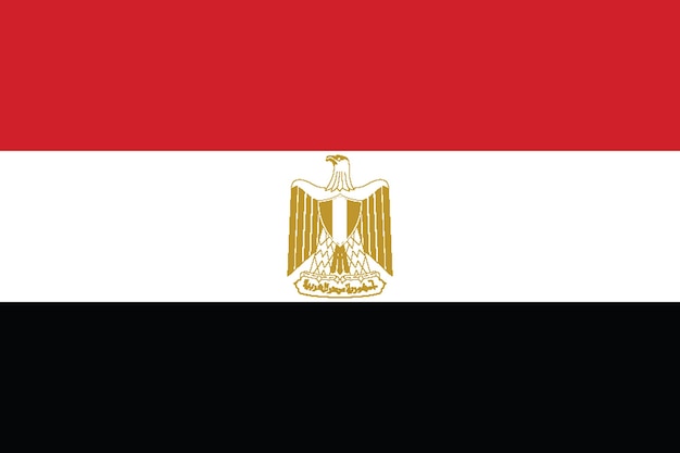 Vlag van de Egyptische vlagnatie