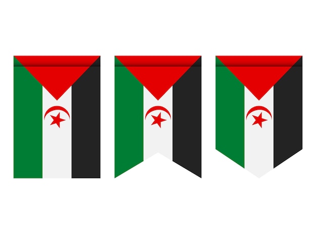 Vlag van de Sahrawi Arabische Democratische Republiek of wimpel geïsoleerd op een witte achtergrond. Wimpel vlagpictogram.