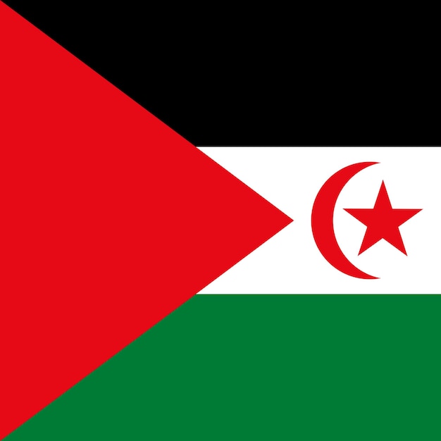 Vlag van de sahrawi arabische democratische republiek officiële kleuren vectorillustratie