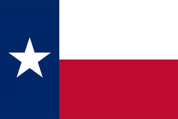 Vlag van de staat texas vector illustratie