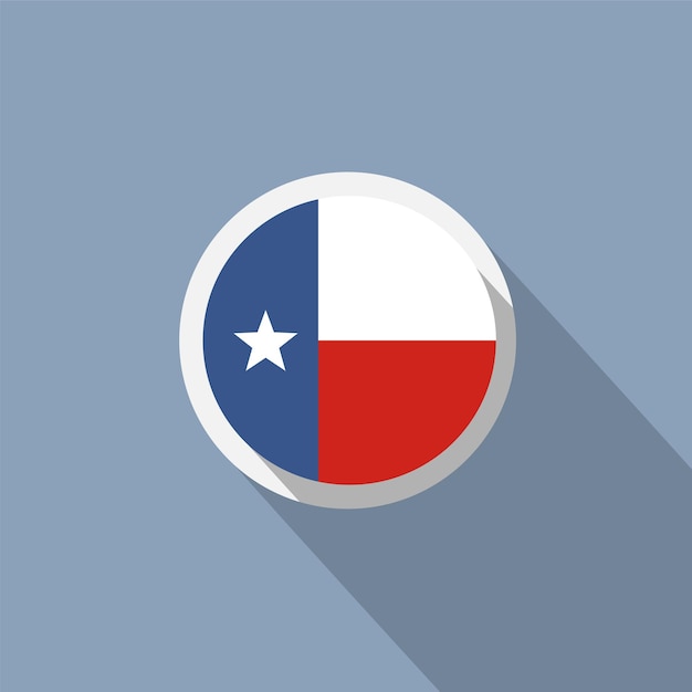 Vlag van de staat Texas