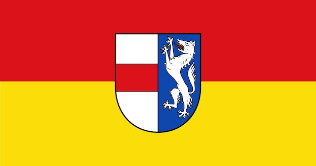 Vlag van de stad Saint Polten in vectorafbeelding Oostenrijk