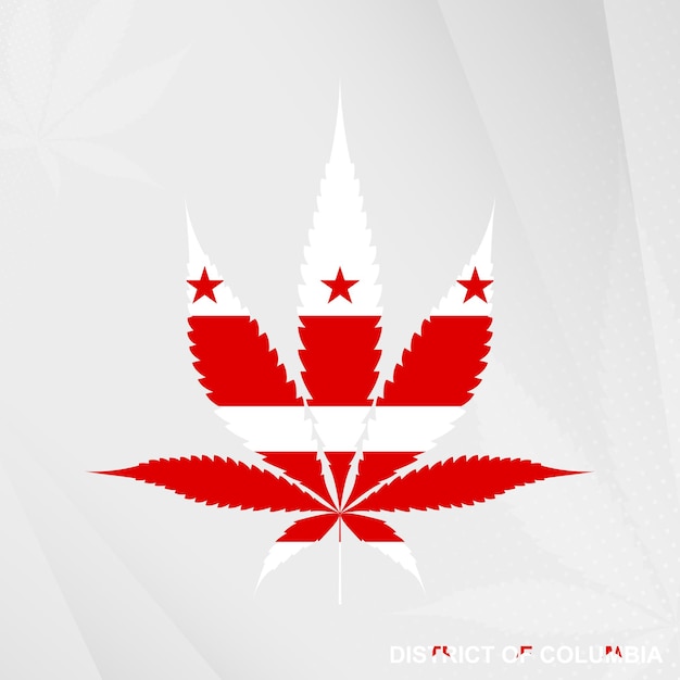 Vlag van District of Columbia in de vorm van marihuanablad Het concept van legalisatie Cannabis in District of Columbia