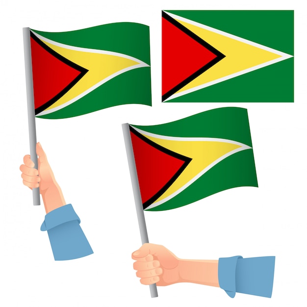 Vlag van Guyana in de hand set