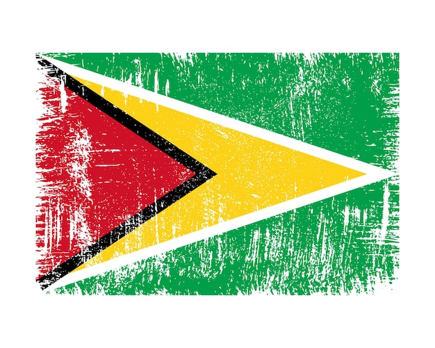 Vlag van Guyana Vector