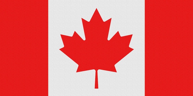 vlag van het land Canada Nieuwe update vectorillustratie