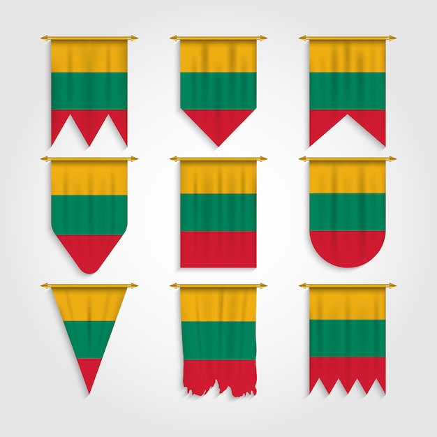 Vlag van litouwen in verschillende vormen