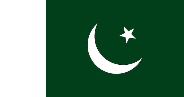 Vector vlag van pakistan in vector