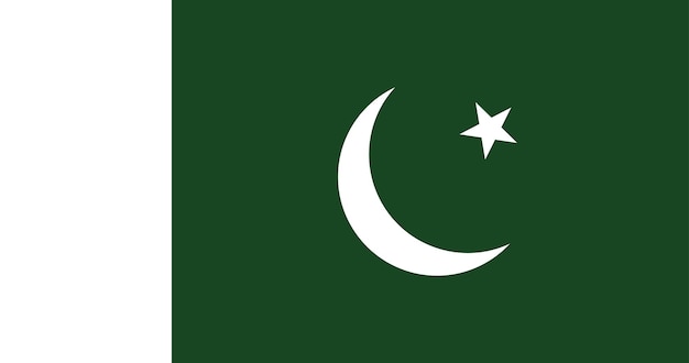 Vlag van Pakistan in Vector
