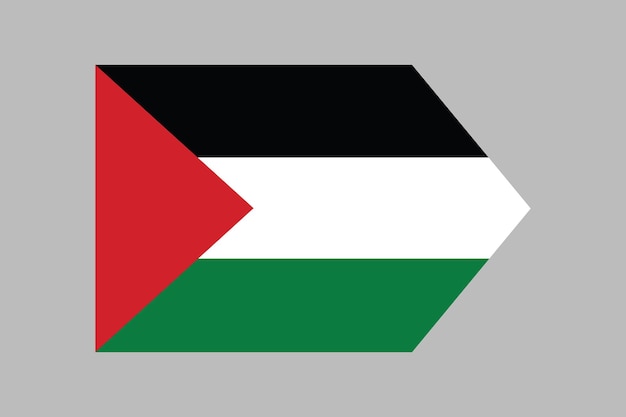 vlag van Palestina originele en eenvoudige vlag van Palestina vector illustratie van de vlag van Palestina